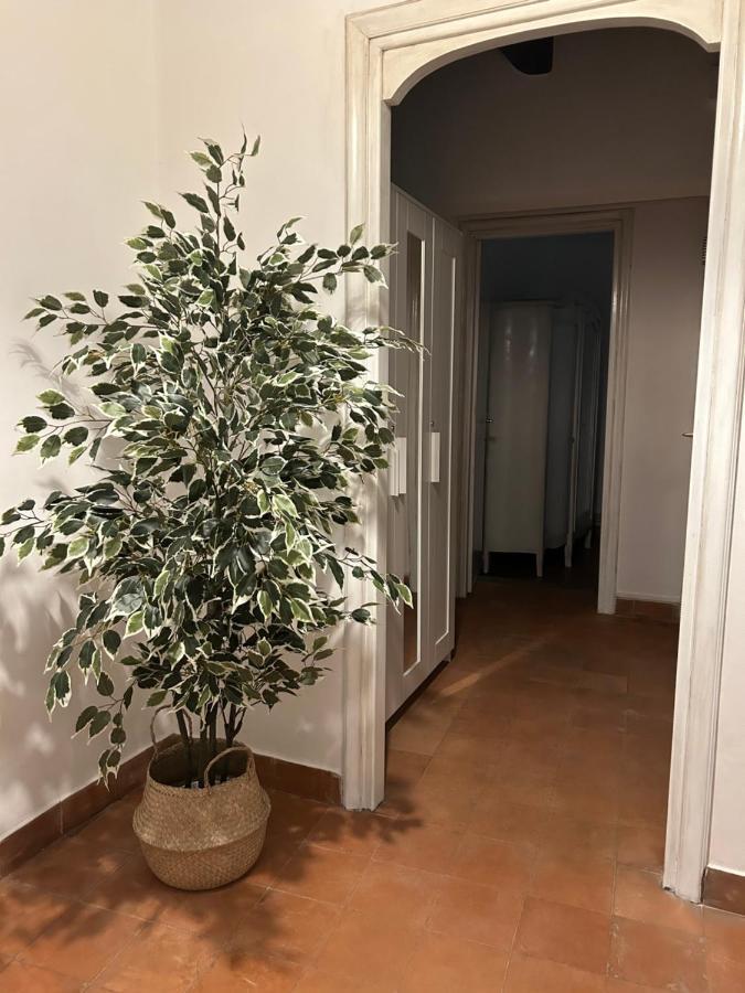 شقة La Casa Di Gioia أوستِيا أنتيكا المظهر الخارجي الصورة